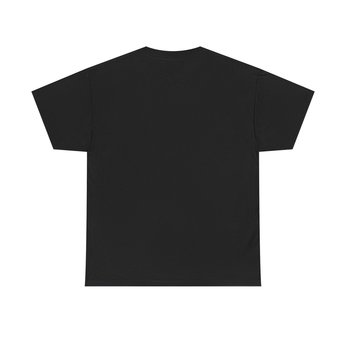 2007 t-shirt "Relax I was born in 2007"