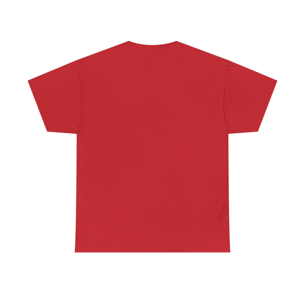 2007 t-shirt "Relax I was born in 2007"