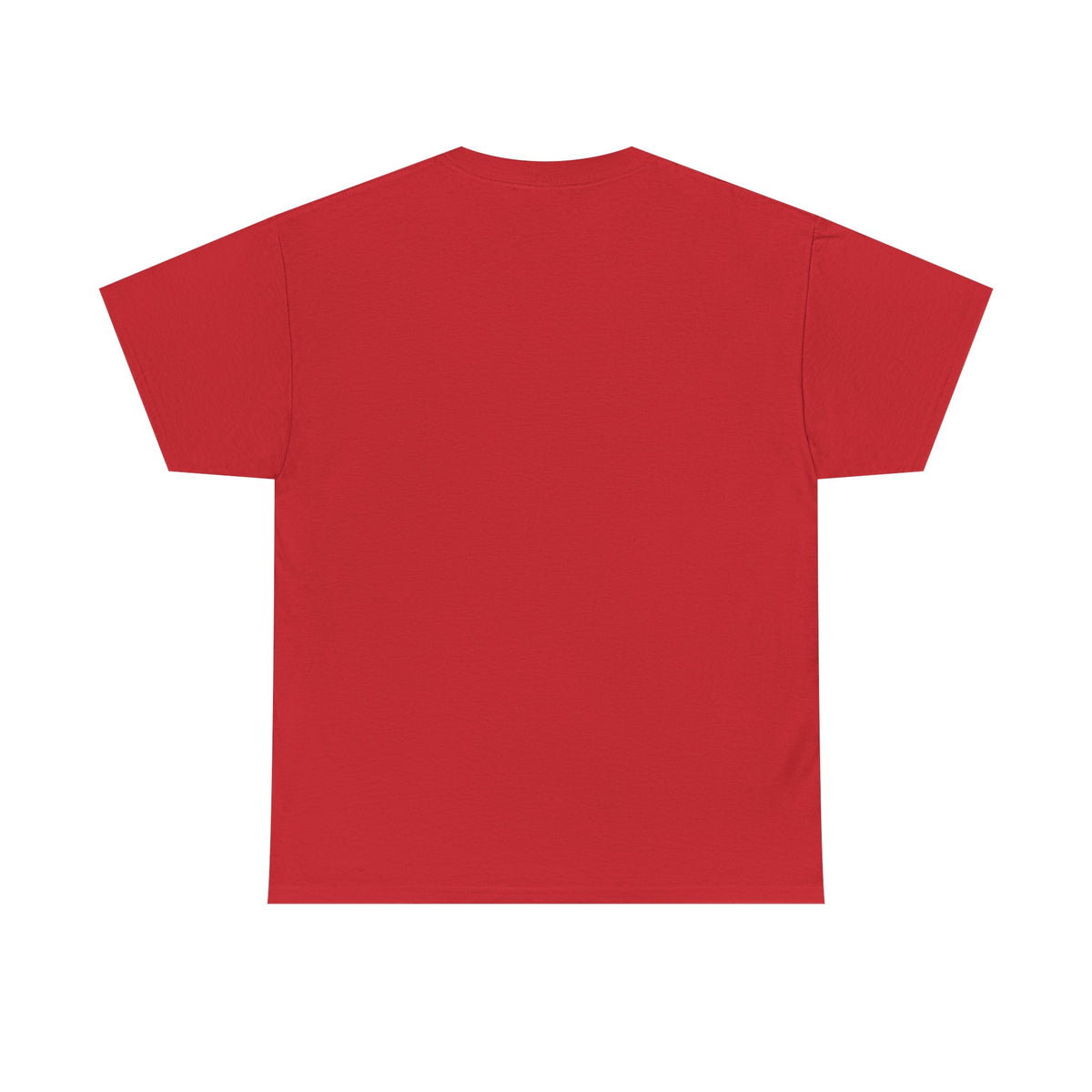 2007 t-shirt "Relax I was born in 2007"