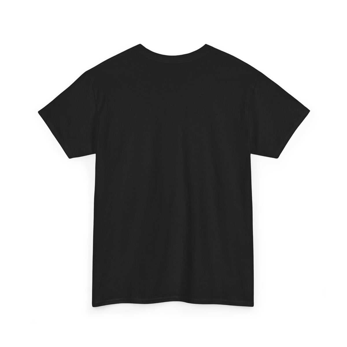 2007 t-shirt "Relax I was born in 2007"