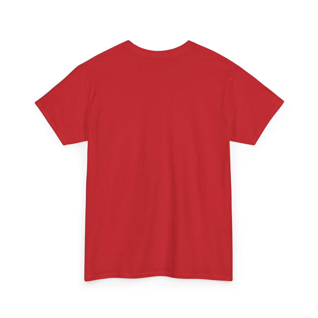 2007 t-shirt "Relax I was born in 2007"