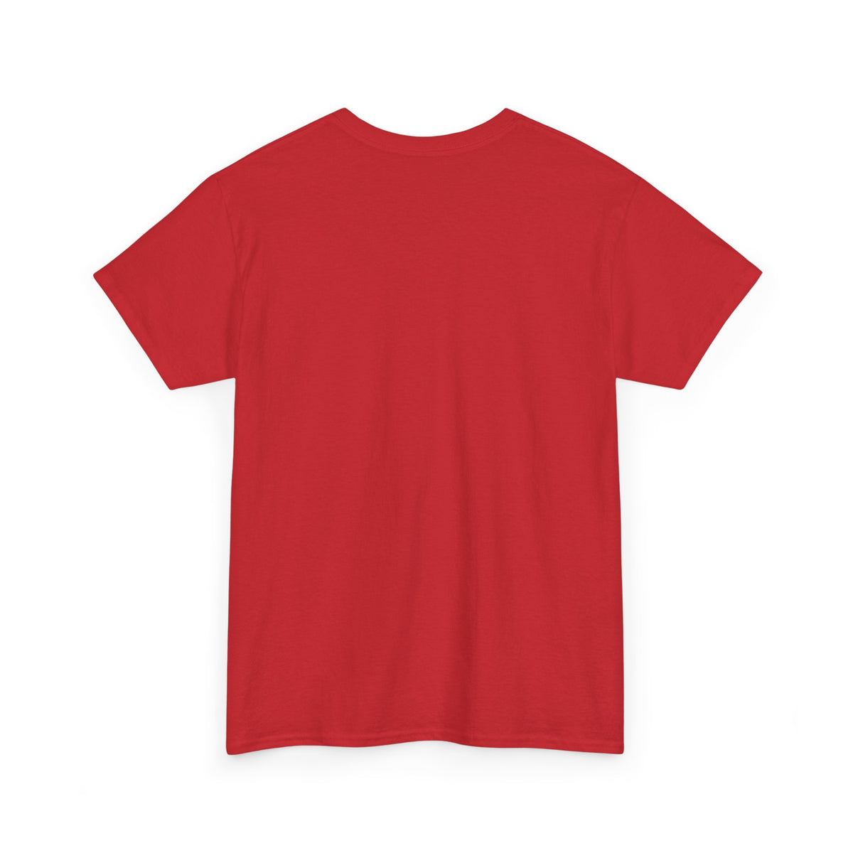 2007 t-shirt "Relax I was born in 2007"